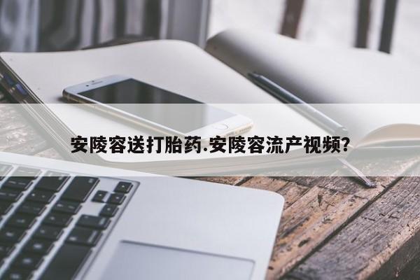药流药购买安陵容送打胎药.安陵容流产视频？